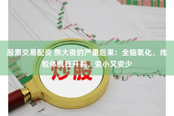 股票交易配资 熬大夜的严重后果：全脑氧化，线粒体疯狂开裂，变小又变少