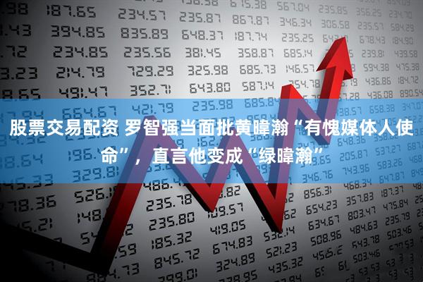 股票交易配资 罗智强当面批黄暐瀚“有愧媒体人使命”，直言他变成“绿暐瀚”