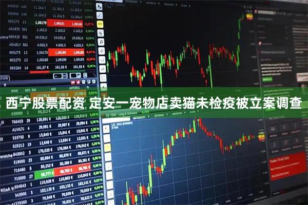 西宁股票配资 定安一宠物店卖猫未检疫被立案调查