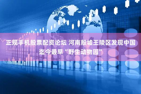 正规手机股票配资论坛 河南殷墟王陵区发现中国迄今最早“野生动物园”