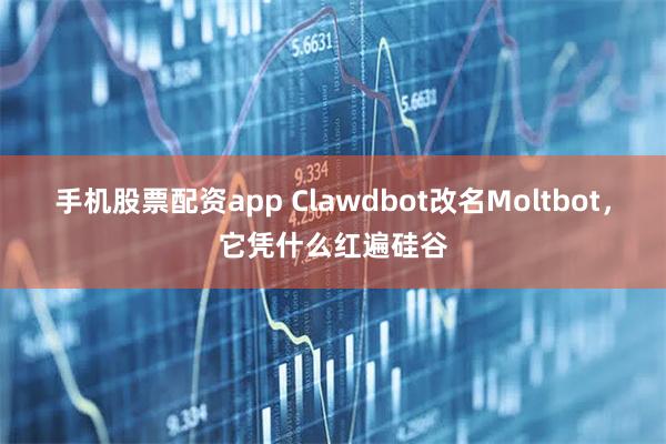 手机股票配资app Clawdbot改名Moltbot，它凭什么红遍硅谷
