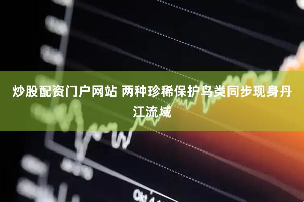 炒股配资门户网站 两种珍稀保护鸟类同步现身丹江流域