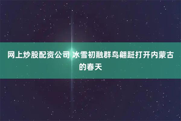 网上炒股配资公司 冰雪初融群鸟翩跹打开内蒙古的春天