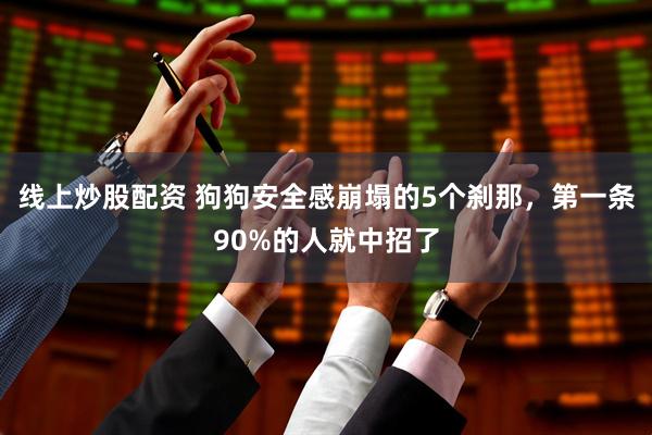 线上炒股配资 狗狗安全感崩塌的5个刹那，第一条90%的人就中招了