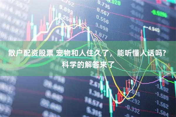 散户配资股票 宠物和人住久了，能听懂人话吗? 科学的解答来了