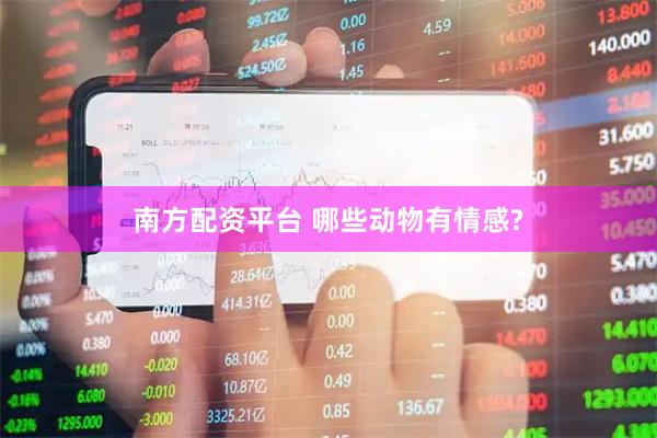 南方配资平台 哪些动物有情感?