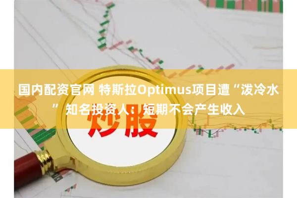 国内配资官网 特斯拉Optimus项目遭“泼冷水” 知名投资人：短期不会产生收入